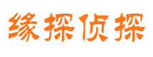 任城市调查公司